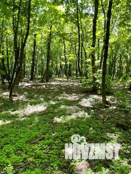 Дом 45м², 1-этажный, посуточно,