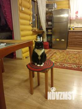 Дом 45м², 2-этажный, на длительный срок,