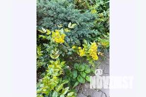 Дом 10м², 2-этажный, посуточно,