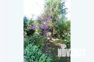 Дом 10м², 2-этажный, посуточно,