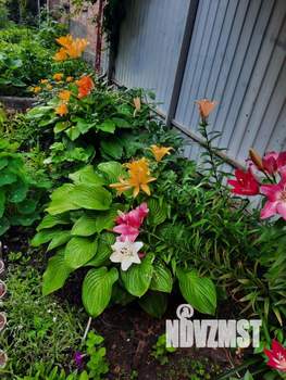 Дом 130м², 2-этажный, участок 3 сот.