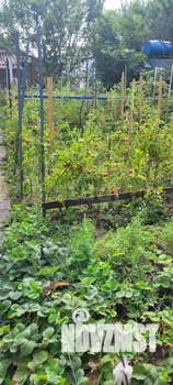 Дом 59м², 1-этажный, участок 5 сот.