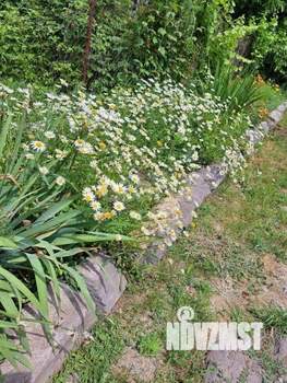 Дом 60м², 1-этажный, участок 7 сот.