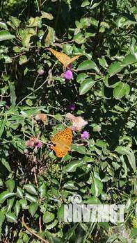 Дом 44м², 2-этажный, участок 6 сот.