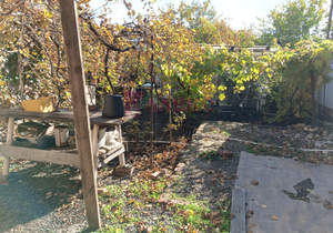 Дом 55м², 1-этажный, участок 8 сот.