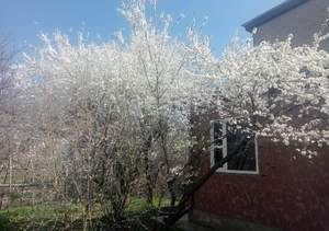 Дом 105м², 2-этажный, участок 6 сот.