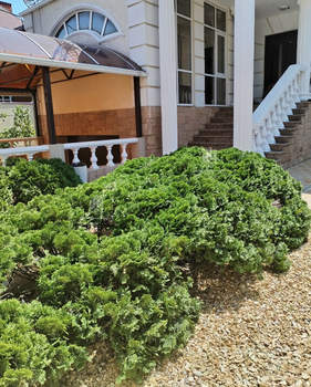 Дом 640м², 3-этажный, участок 6 сот.