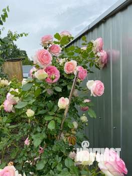 Дом 30м², 1-этажный, участок 6 сот.