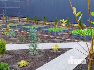 Дом 135м², 1-этажный, участок 6 сот.