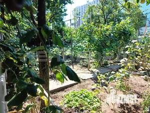 Дом 82м², 2-этажный, участок 5 сот.