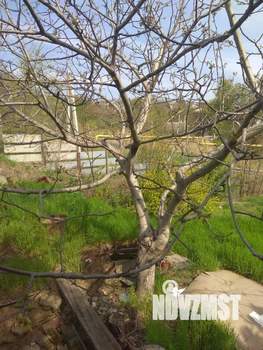 Дом 213м², 3-этажный, участок 9 сот.