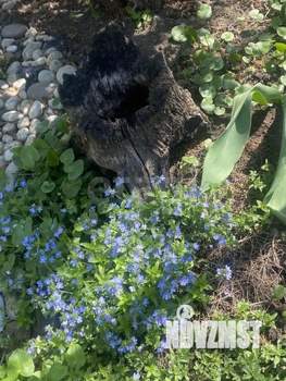 Дом 59м², 2-этажный, участок 5 сот.