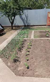 Дом 190м², 1-этажный, участок 6 сот.