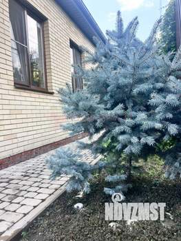 Дом 120м², 1-этажный, участок 3 сот.