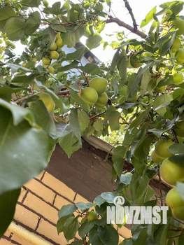 Дом 66м², 1-этажный, участок 3 сот.