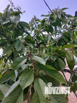 Дом 22м², 1-этажный, участок 6 сот.