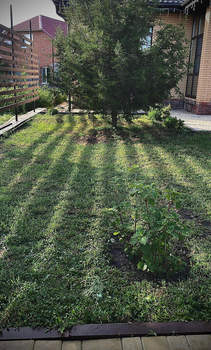 Дом 110м², 1-этажный, участок 7 сот.