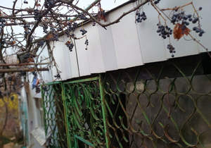 Дом 63м², 1-этажный, участок 13 сот.