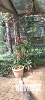 Дом 107м², 2-этажный, участок 6 сот.