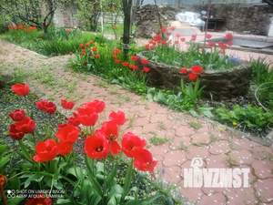 Дом 36м², 2-этажный, участок 6 сот.