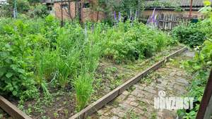 Дом 58м², 1-этажный, участок 6 сот.