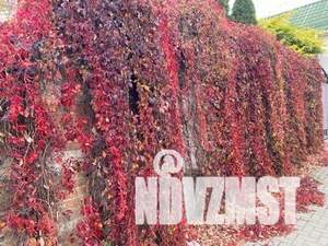 Дом 270м², 3-этажный, участок 4 сот.