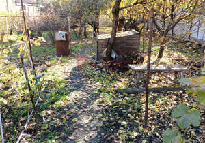 Дом 55м², 1-этажный, участок 8 сот.