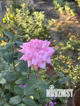 Дом 70м², 2-этажный, участок 5 сот.