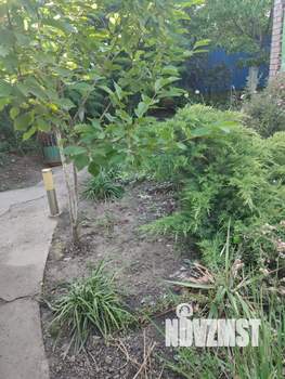 Дом 42м², 1-этажный, участок 1 сот.