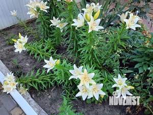 Дом 85м², 2-этажный, участок 4 сот.