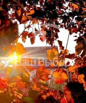 Дом 50м², 2-этажный, участок 4 сот.