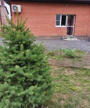 Дом 80м², 1-этажный, участок 4 сот.