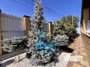 Дом 255м², 2-этажный, участок 7 сот.