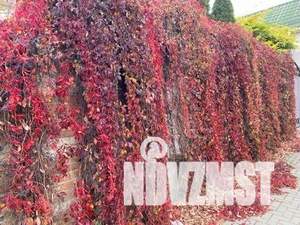 Дом 270м², 3-этажный, участок 4 сот.