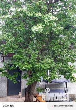 Дом 41м², 2-этажный, участок 3 сот.