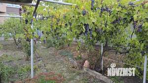 Дом 58м², 1-этажный, участок 5 сот.