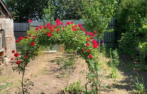 Дом 50м², 1-этажный, участок 5 сот.