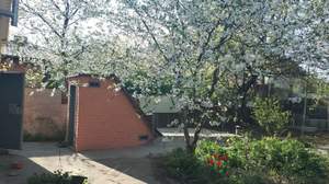 Дом 50м², 1-этажный, участок 6 сот.