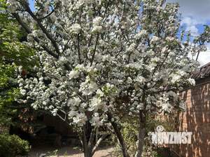 Дом 417м², 3-этажный, участок 11 сот.