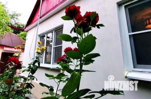 Дом 79м², 1-этажный, участок 24 сот.