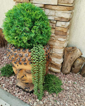 Дом 640м², 3-этажный, участок 6 сот.