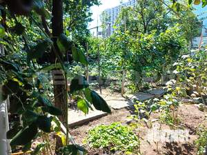 Дом 82м², 2-этажный, участок 5 сот.