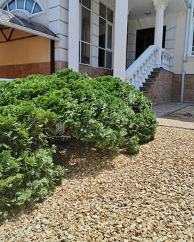 Дом 640м², 3-этажный, участок 6 сот.