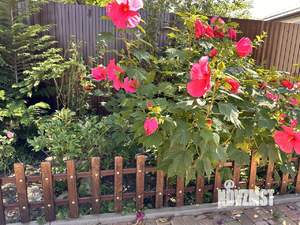 Дом 100м², 1-этажный, участок 4 сот.