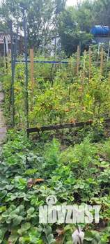 Дом 59м², 1-этажный, участок 5 сот.