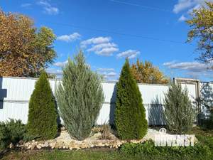 Дом 30м², 1-этажный, участок 6 сот.