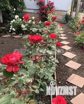 Дом 88м², 2-этажный, участок 6 сот.