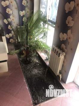 Коттедж 80м², 2-этажный, участок 2 сот.