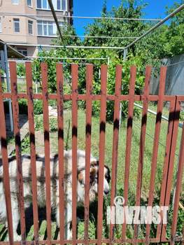 Дом 59м², 1-этажный, участок 5 сот.