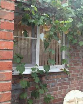 Дом 43м&sup2;, 1-этажный, на длительный срок, 